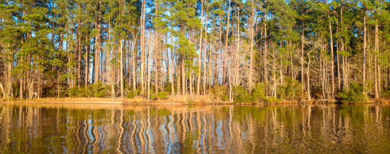 Feature image for show notes Man Overseas Podcast episode titled Sluts & Cocaine, 9/11 Aftermath, Psychedelic Therapy